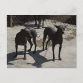 2ソロス ポストカード (正面)