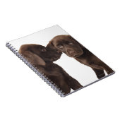 2チョコレートラブラドールレトリエバーパピーズ ノートブック (右側)