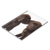 2チョコレートラブラドールレトリエバーパピーズ ノートブック (左側)