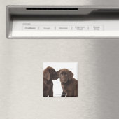 2チョコレートラブラドールレトリエバーパピーズ マグネット (インサイチュ (食洗機))