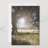 2ツリーズ素朴アフタヌーンダスクサンセットブライダルシャワー 招待状 (裏面)