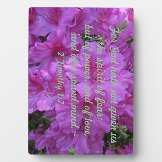 2テモテ1:7神は私たち与えの霊を持たない フォトプラーク (正面)