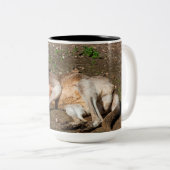 2トーンマグカップ、444 ml ツートーンマグカップ (正面右)