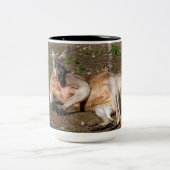 2トーンマグカップ、444 ml ツートーンマグカップ (中央)