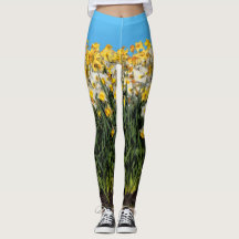 2トーン素晴らしダフォジル花の写真