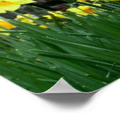 2トーン ポスター (角)