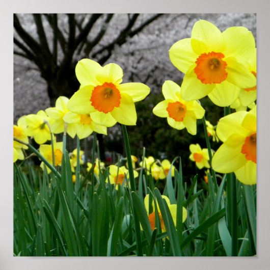 2トーン ポスター (正面)