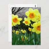 2トーン ポストカード (正面/裏面)