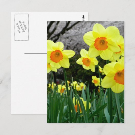 2トーン ポストカード (正面/裏面)