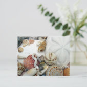 2ドルの空白のはがき ポストカード (スタンド正面)