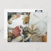 2ドルの空白のはがき ポストカード (正面/裏面)