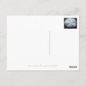 2ドルの空白のはがき ポストカード (裏面)