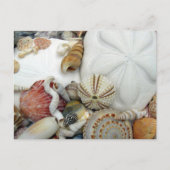 2ドルの空白のはがき ポストカード (正面)