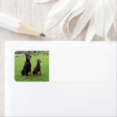 2ドーベルマン（犬）.png ラベル (インサイチュ)