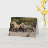 2バシキル巻きランニング毛馬 カード (黄色い花)