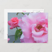 2バラはがき ポストカード (正面/裏面)