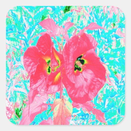 2バラ色の赤いサンゴ梅熱狂するハイビスカスオンアクア スクエアシール (正面)