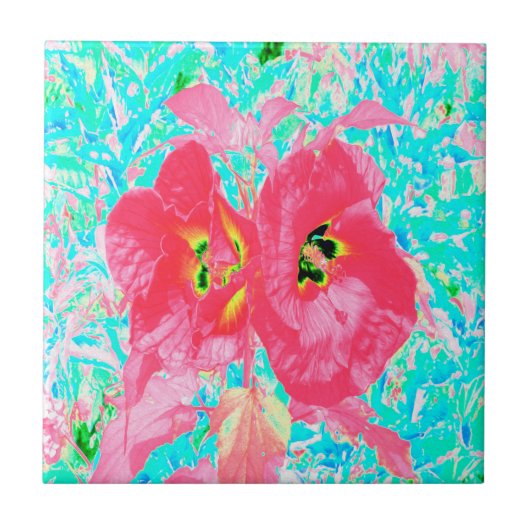 2バラ色の赤いサンゴ梅熱狂するハイビスカスオンアクア タイル (正面)