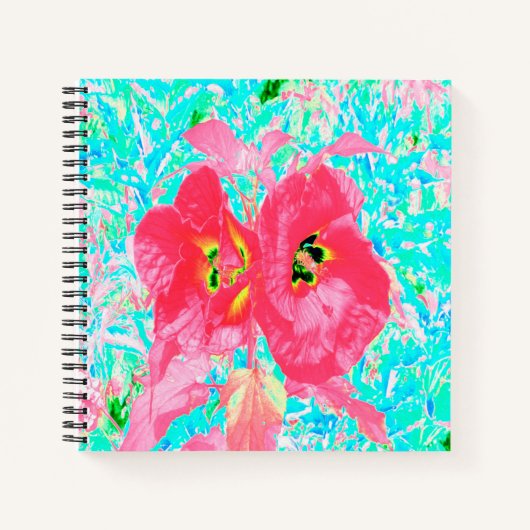 2バラ色の赤いサンゴ梅熱狂するハイビスカスオンアクア ノートブック (正面)