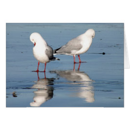 2ビーチのカモメ