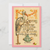 2ピンクのヴィンテージのスタイルの誕生の発表は味方しました 案内状 (正面)