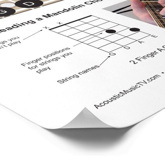 2フィンガーマンドリン弦チャート練習ポスター ポスター (角)