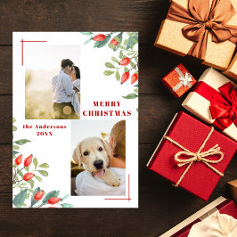 2フォトコラージュモダン冬植物学クリスマス シーズンカード