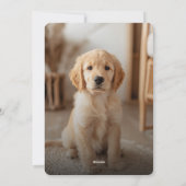 2フォトパピーペットレトロドッグバレンタインデー シーズンカード (裏面)