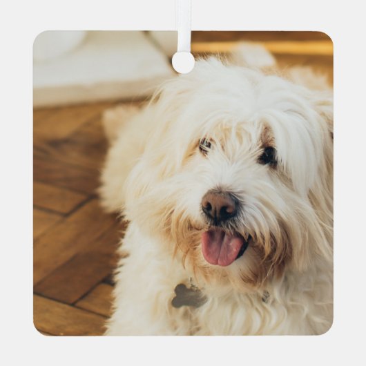 2フォトメリークリスマスパーソナライズされた メタルオーナメント (裏面)