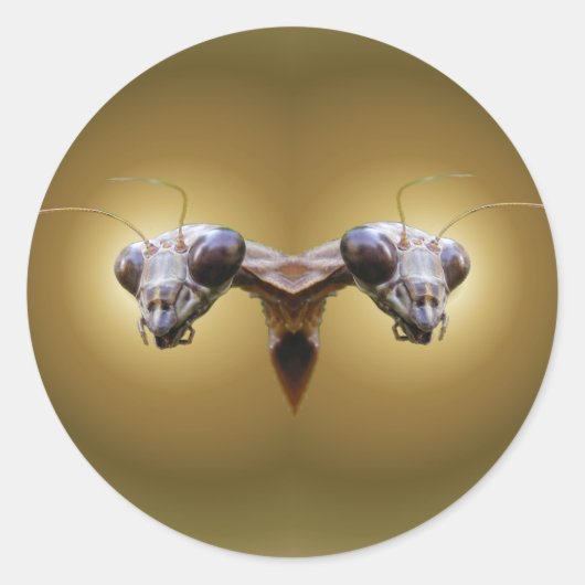 2ヘッドマンティス～シール ラウンドシール (正面)