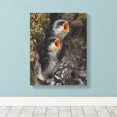 2ベビーツリースワローズ キャンバスプリント (インサイチュ (ウッドフロア))