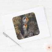 2ベビーツリースワローズ スクエアシール (封筒)