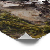 2ベビーツリースワローズ ポスター (角)