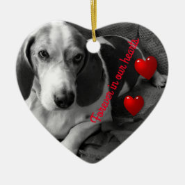 2ペットフォトメモリオーナメント セラミックオーナメント