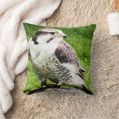 #2ペレグリンの《鳥》ハヤブサ肉食鳥 クッション (ブランケット)