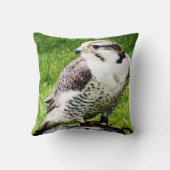 #2ペレグリンの《鳥》ハヤブサ肉食鳥 クッション (裏面)