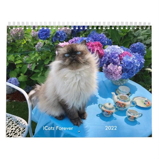 2ページのMediumCalendar、白のカレンダー カレンダー (カバー)