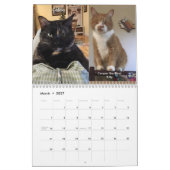 2ページのMediumCalendar、白のカレンダー カレンダー (3月 2027)