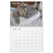 2ページのMediumCalendar、白のカレンダー カレンダー (1月 2027)
