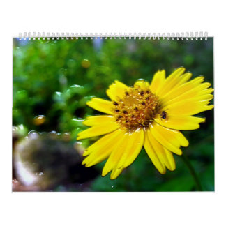 2ページ、大きく白いカレンダー カレンダー