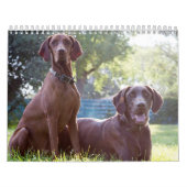 2ページ、媒体、白いカレンダー カレンダー (カバー)