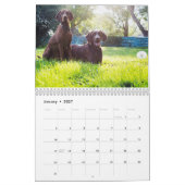 2ページ、媒体、白いカレンダー カレンダー (1月 2027)