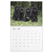 2ページLargeCalendar Notta Bear Through The Year カレンダー (3月 2027)