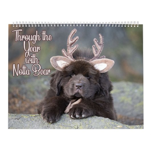 2ページLargeCalendar Notta Bear Through The Year カレンダー (カバー)