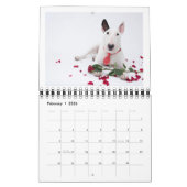 2ページMediumCalendar、白 カレンダー (2月 2026)