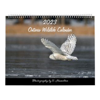 2ページMediumCalendar、白 カレンダー