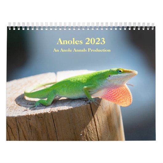 2ページMediumCalendar、白 カレンダー (カバー)