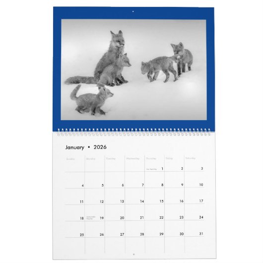 2ページMediumCalendar、白 カレンダー (1月 2026)