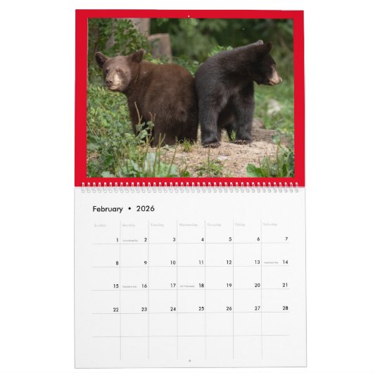 2ページMediumCalendar、白 カレンダー (2月 2026)