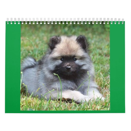 2ページMediumCalendar、白 カレンダー (カバー)